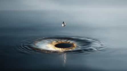 When the Heart Falls Mute